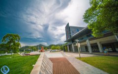中消协发布2025年第一季度全国消协组织受理投诉情况分析报告显示 文化娱乐体